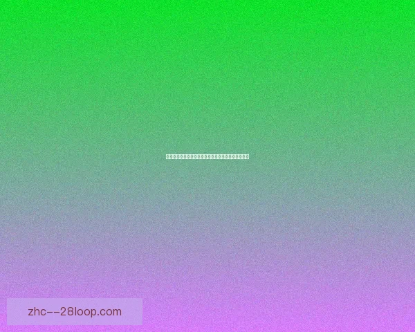 中超申花最新动态解析与赛季表现全面盘点与前景预测